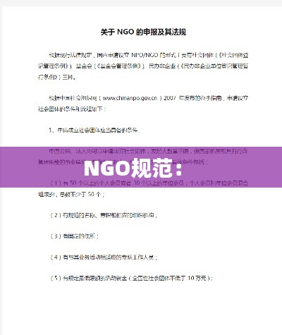 NGO规范： 