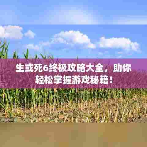 生或死6终极攻略大全，助你轻松掌握游戏秘籍！