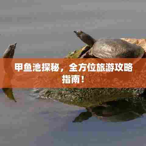 甲鱼池探秘，全方位旅游攻略指南！
