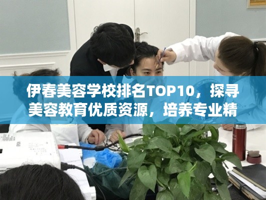 伊春美容学校排名TOP10，探寻美容教育优质资源，培养专业精英之地