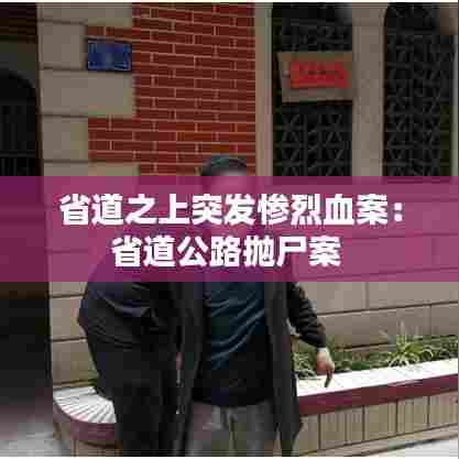 省道之上突发惨烈血案：省道公路抛尸案 