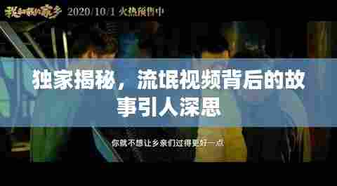 独家揭秘，流氓视频背后的故事引人深思