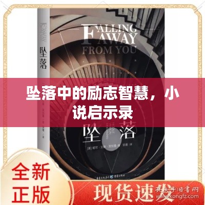 坠落中的励志智慧，小说启示录