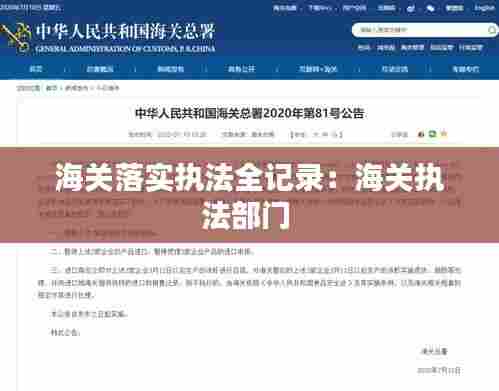 海关落实执法全记录：海关执法部门 