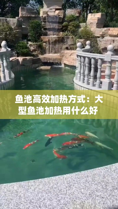 鱼池高效加热方式：大型鱼池加热用什么好 