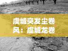 虞城突发尘卷风：虞城龙卷风事件谁承担责任 