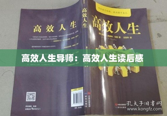 高效人生导师：高效人生读后感 