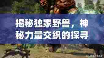 揭秘独家野兽，神秘力量交织的探寻之旅