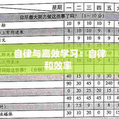 自律与高效学习：自律和效率 