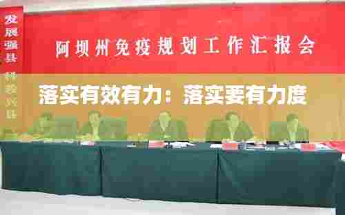 落实有效有力：落实要有力度 
