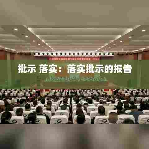 批示 落实：落实批示的报告 
