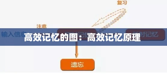 高效记忆的图：高效记忆原理 