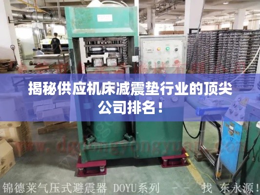 揭秘供应机床减震垫行业的顶尖公司排名！