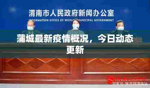 蒲城最新疫情概况，今日动态更新