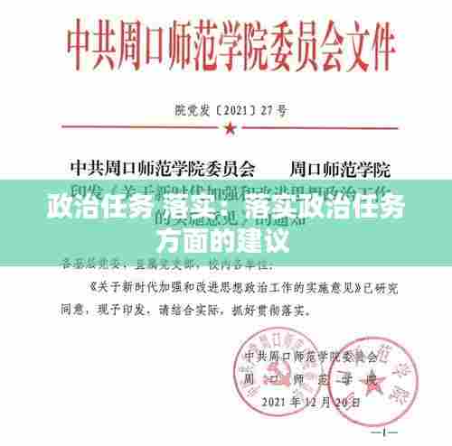 政治任务 落实：落实政治任务方面的建议 