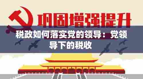 税政如何落实党的领导：党领导下的税收 