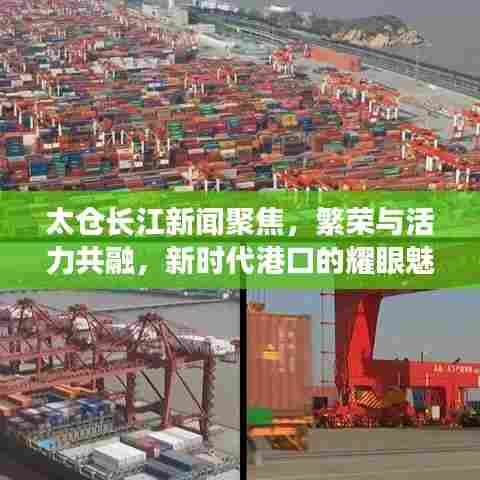 太仓长江新闻聚焦，繁荣与活力共融，新时代港口的耀眼魅力