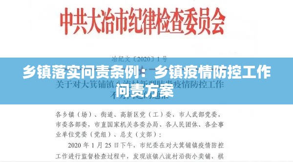 乡镇落实问责条例：乡镇疫情防控工作问责方案 