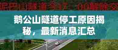 鹅公山隧道停工原因揭秘，最新消息汇总