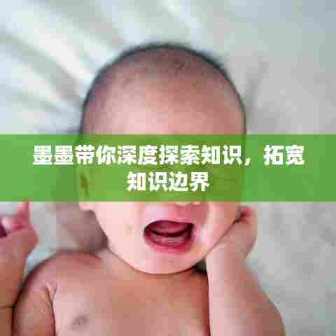 墨墨带你深度探索知识，拓宽知识边界