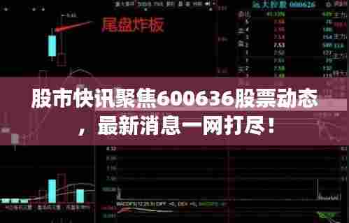 股市快讯聚焦600636股票动态，最新消息一网打尽！