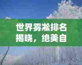 世界雾凇排名揭晓，绝美自然奇观尽收眼底