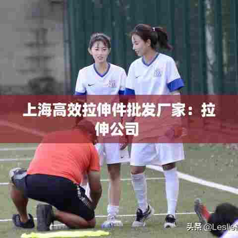 上海高效拉伸件批发厂家：拉伸公司 