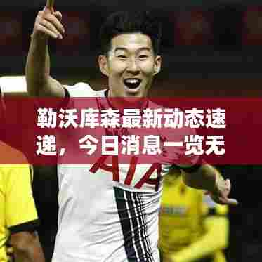 勒沃库森最新动态速递，今日消息一览无余！