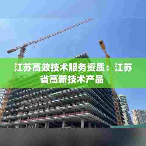 江苏高效技术服务资质:江苏省高新技术产品