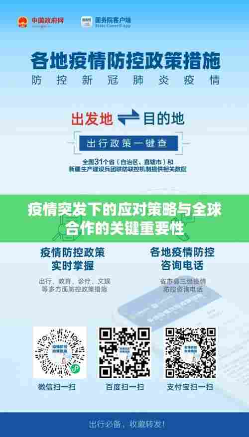 疫情突发下的应对策略与全球合作的关键重要性
