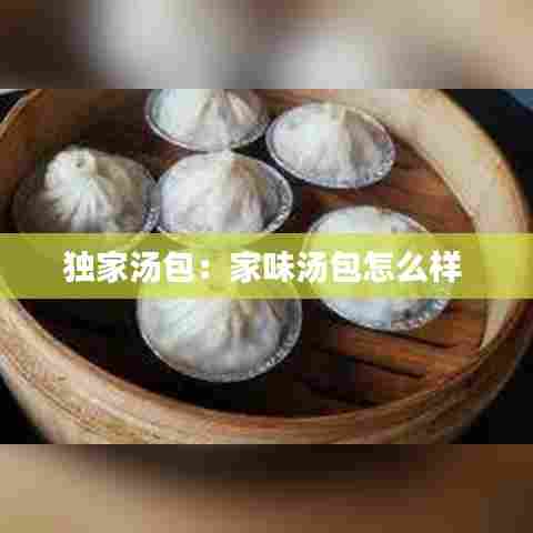 独家汤包：家味汤包怎么样 
