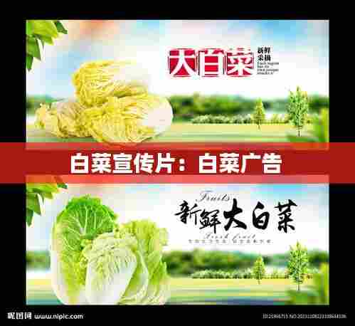 白菜宣传片:白菜广告