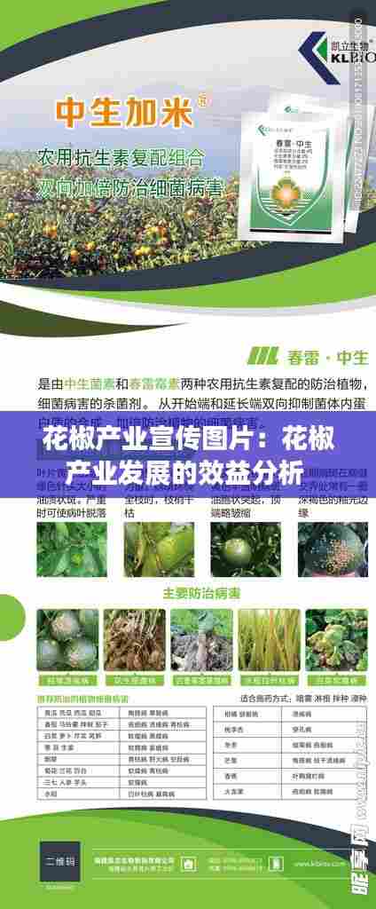 花椒产业宣传图片：花椒产业发展的效益分析 