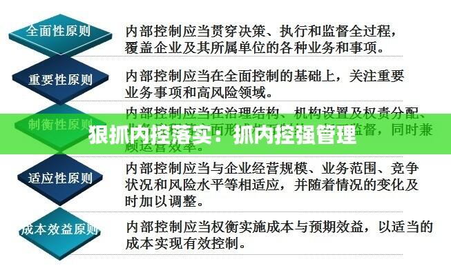 狠抓内控落实：抓内控强管理 