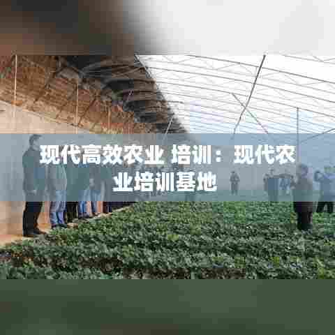 现代高效农业 培训：现代农业培训基地 