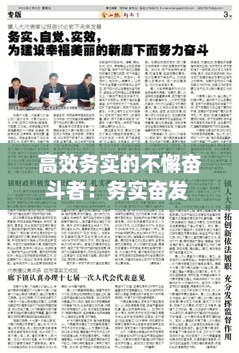 高效务实的不懈奋斗者：务实奋发 