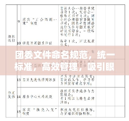 团委文件命名规范，统一标准，高效管理，吸引眼球的标题！