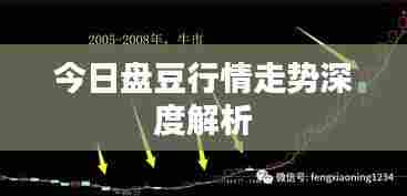 今日盘豆行情走势深度解析