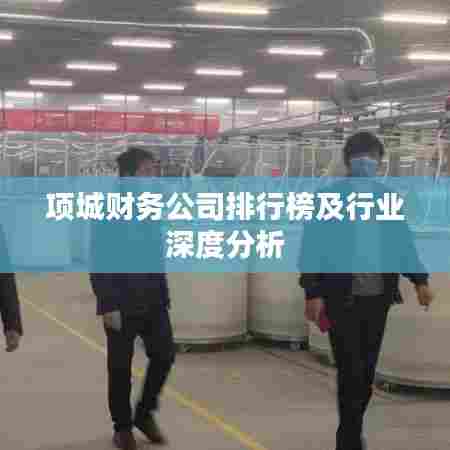 项城财务公司排行榜及行业深度分析