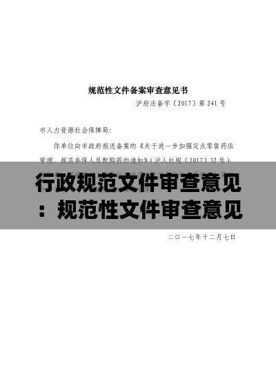 行政规范文件审查意见：规范性文件审查意见书 