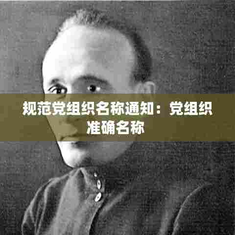规范党组织名称通知:党组织准确名称