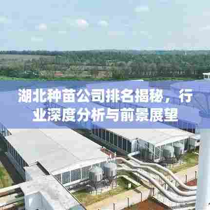 湖北种苗公司排名揭秘，行业深度分析与前景展望