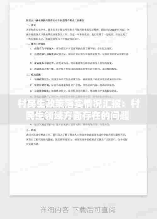 村民生政策落实情况汇报：村民生领域方面存在的问题 