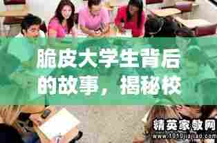 脆皮大学生背后的故事，揭秘校园生活的真实面貌