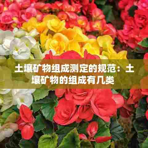 土壤矿物组成测定的规范：土壤矿物的组成有几类 