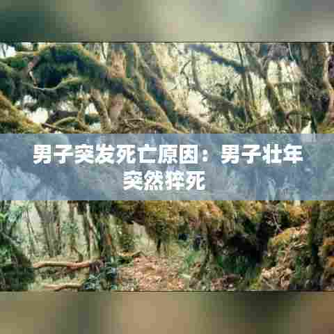 男子突发死亡原因：男子壮年突然猝死 