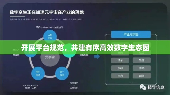 开展平台规范，共建有序高效数字生态圈