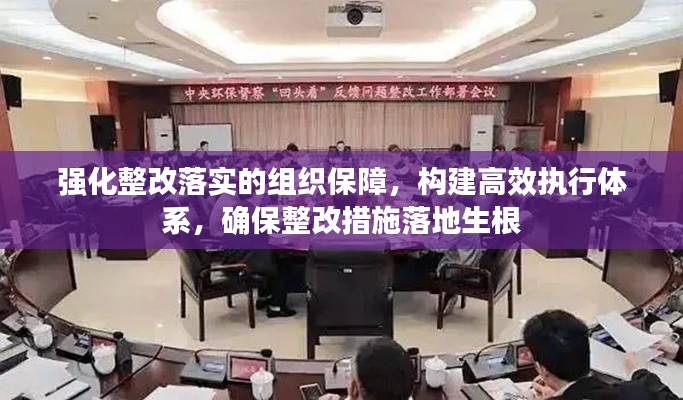 强化整改落实的组织保障，构建高效执行体系，确保整改措施落地生根