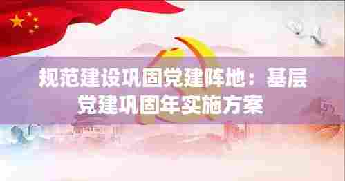 规范建设巩固党建阵地：基层党建巩固年实施方案 