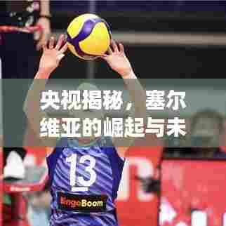 央视揭秘,塞尔维亚的崛起与未来展望深度分析